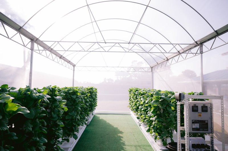 Sustainable School Programme - STEM